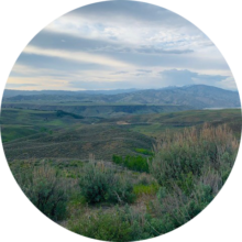 667ee2c01a6f4dbfb538af82_Default 3 Final 667ee2c01a6f4dbfb538af82_Default 3 Final